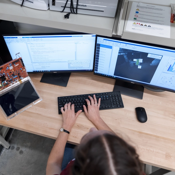 Tree tops with lake and mountains in background